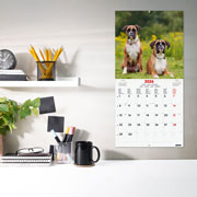 Foto de Calendario De Pared Finocam Dogs 30X30Cm 26 