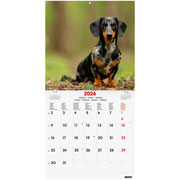Foto de Calendario De Pared Finocam Dogs 30X30Cm 26 