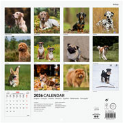 Foto de Calendario De Pared Finocam Dogs 30X30Cm 26 