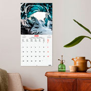 Foto de Calendario de Pared Finocam Nature 2025 30x31 cm 