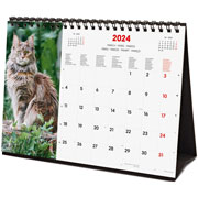 Foto de Calendario escritorio Finocam 21X15.5cm Cats 