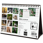 Foto de Calendario escritorio Finocam 21X15.5cm Cats 