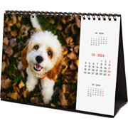 Foto de Calendario escritorio Finocam 21X15.5cm Dogs 