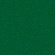 Foto de Cartulina América Verde Bandera Lumen 24PT 70X100CM 343K
