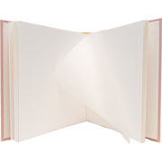 Foto de Foto Album Toda Ocasion Goldbuch 25X25Cm Rose/White 