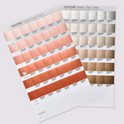 Foto de Guia Pantone Gb1507B Metallics C Chips 