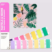 Foto de Guia Pantone Gg1504C Pastels & Neons Guide/Coated & Uncoated 