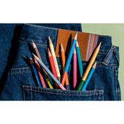 Foto de Lápices Acuarelables Caran dAche 3000 Paul Smith 12 Piezas Bicolor 3000.344 