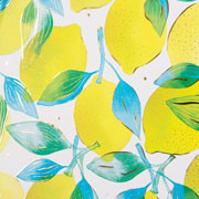 Foto de Libreta Goldbuch Citrus 15X20Cm 