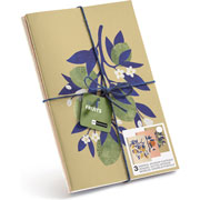 Foto de Libreta Puntos Miquelrius A5 Fruits Con 3 Piezas 