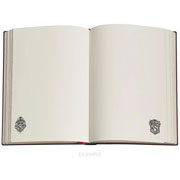Foto de Libreta Slytherin Journal Midi Liso 