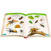 Foto de Libro Infantil Diccionario Ilustrado Para Ninos 