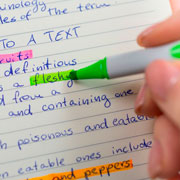 Foto de Marcador Schneider 112004 Shine-Up Verde 