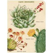 Foto de Mini libreta Cavallini Succulents paquete con 3 piezas 