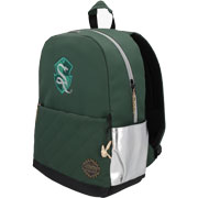 Foto de Mochila Escolar Hogwarts Legacy Verde/Plata Yadatex 