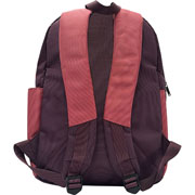 Foto de Mochila Juvenil Eccentric Dk505 Ptalap Morado 