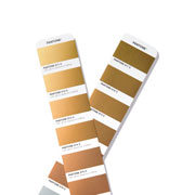 Foto de Guia Pantone Gg1507B Metallics Guide 