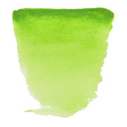 Foto de Pintura Acuarela 10ML Verde Amarillo Talens Van Gogh 