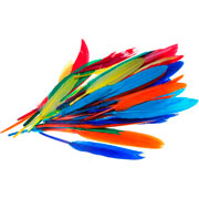 Foto de Plumas De Colores Barrilito Bolsa Con 60 Piezas 
