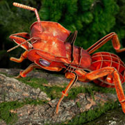 Foto de Rompecabezas 3D Makebug Hormiga Corta Hja Niv 3 con 76 piezas 