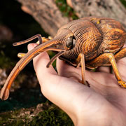 Foto de Rompecabezas 3D Makebug Insecto Gorgojo Niv 2 con 93 piezas 