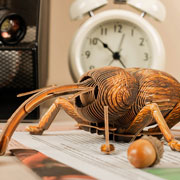 Foto de Rompecabezas 3D Makebug Insecto Gorgojo Niv 2 con 93 piezas 