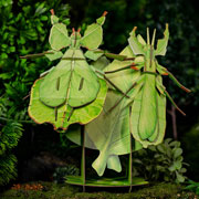 Foto de Rompecabezas 3D Makebug Insecto Hoja Niv 3 con 35 piezas 