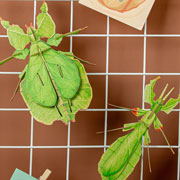 Foto de Rompecabezas 3D Makebug Insecto Hoja Niv 3 con 35 piezas 