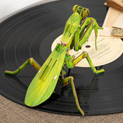 Foto de Rompecabezas 3D Makebug Mantis Asiatica G Niv 2 con 53 piezas 