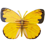 Foto de Rompecabezas 3D Makebug Mariposa Amarillo Niv 1 con 21 piezas 