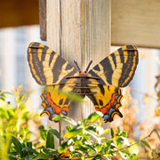 Foto de Rompecabezas 3D Makebug Mariposa Chinese Niv 1 con 21 piezas 
