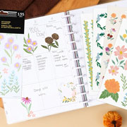 Foto de Sticker Thp Blooming Bouquet 10 Hojas Value Pack 