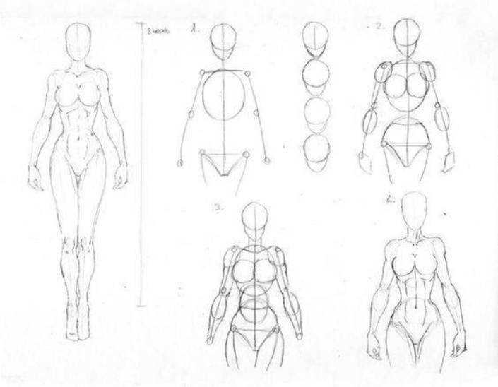 Tips Para Dibujar El Cuerpo Humano Paso A Paso Lumen Com Mx